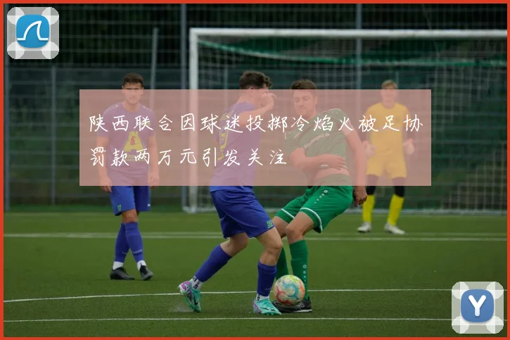 陕西联合因球迷投掷冷焰火被足协罚款两万元引发关注