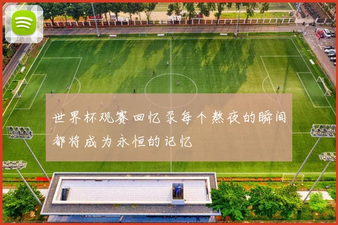 世界杯观赛回忆录每个熬夜的瞬间都将成为永恒的记忆