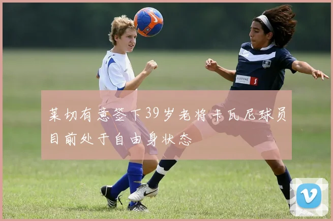 莱切有意签下39岁老将卡瓦尼球员目前处于自由身状态